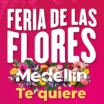 rumbas de la ciudad artistas (7)